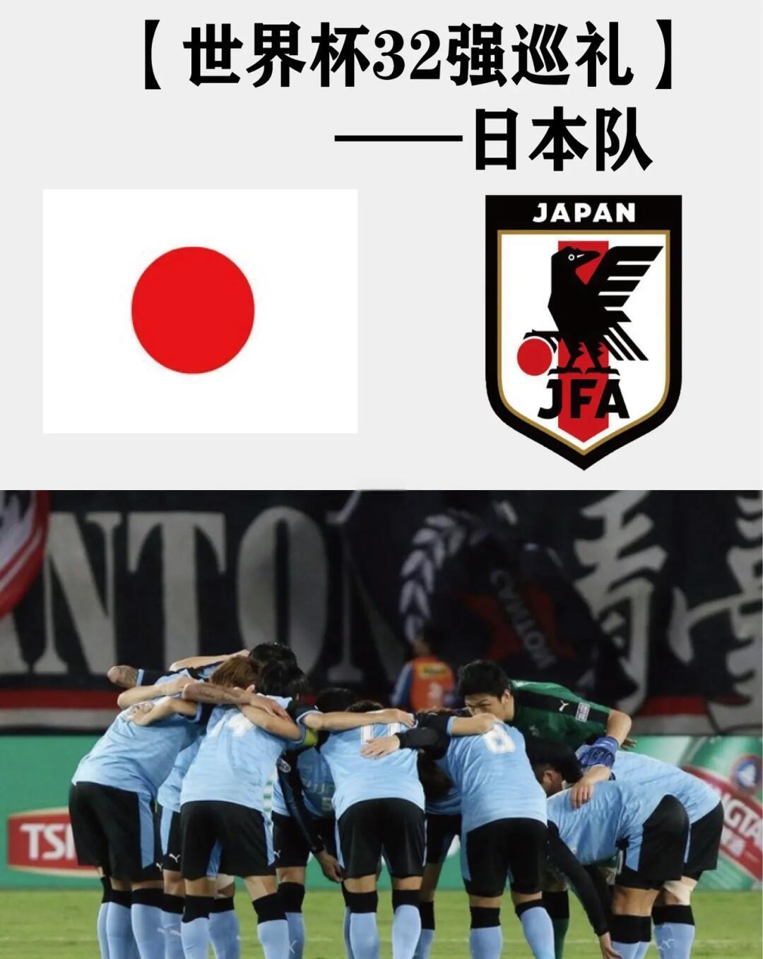 连胜终结！日本队排球赛事中意外夺冠的简单介绍