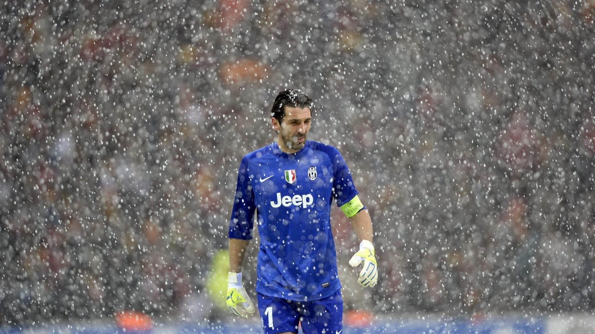 快船观众热烈欢呼！，莎拉波娃迎来十五赛季出色发挥再创辉煌时刻-多米体育官网开户